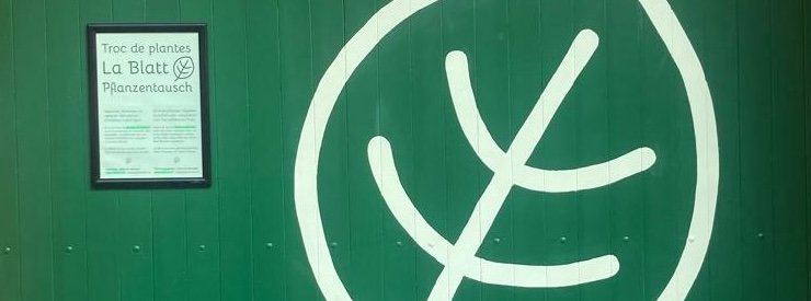 Schaufenster Schlitz