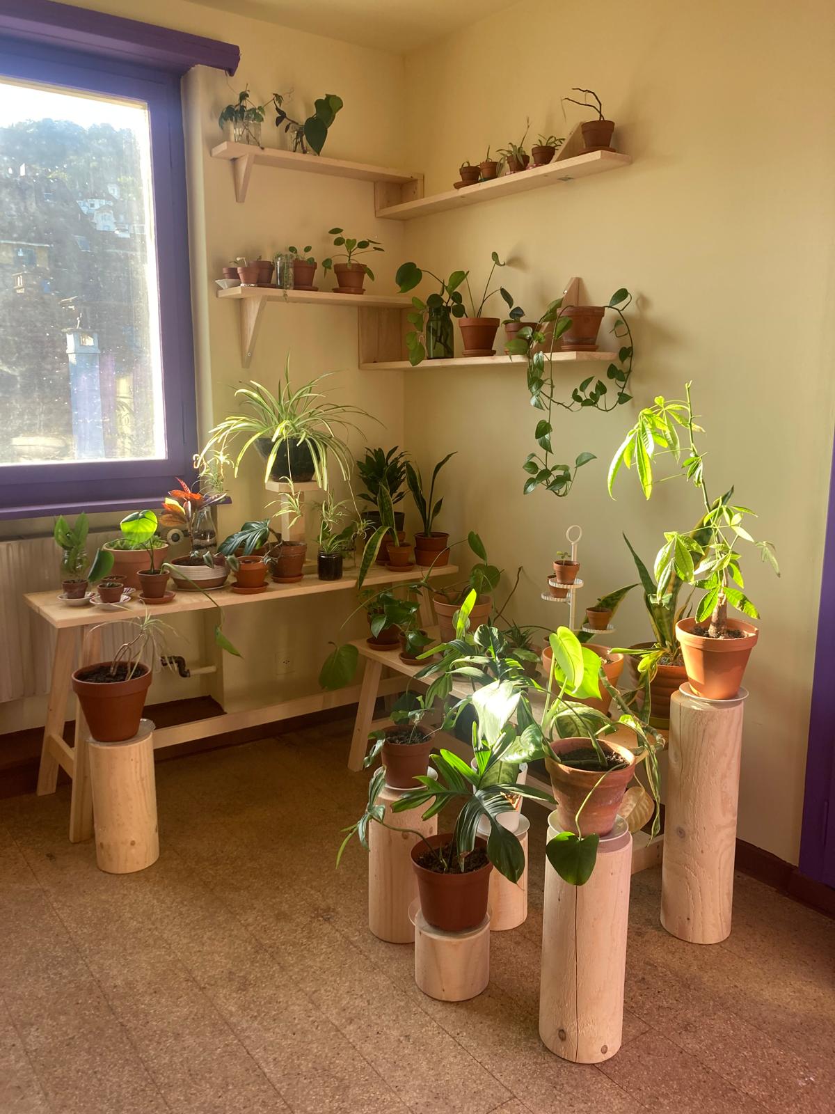 Schaufenster gesamt